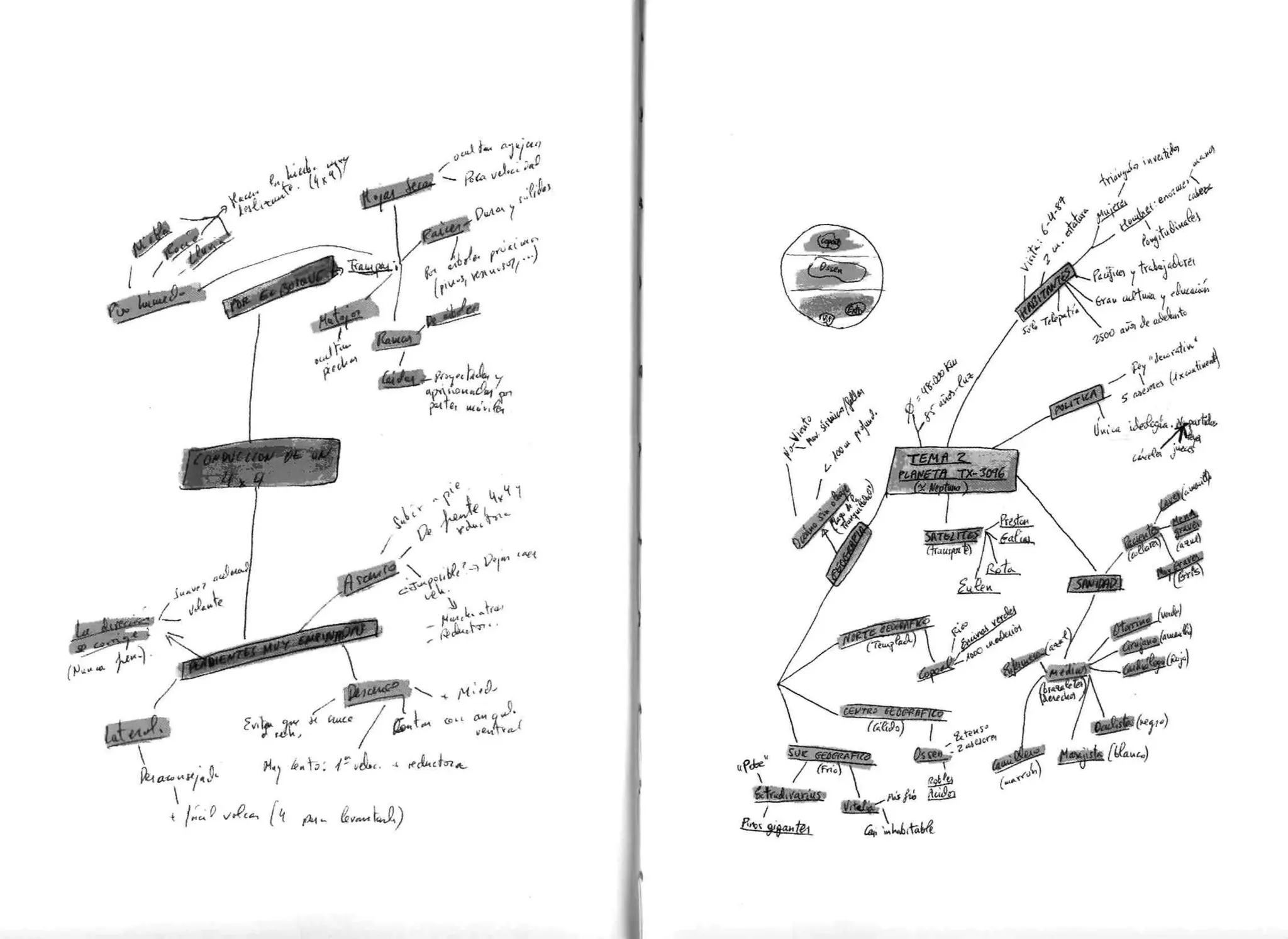 Desarrolla una mente prodigiosa