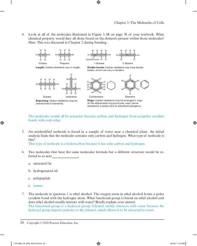 campbell biology 9th edition chapter 20 bankruptcy campbell biology 9th edition chapter 20 bankruptcy