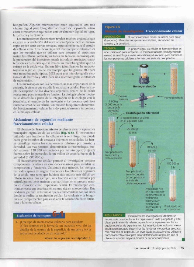 biologia campbell 7ma edicion pdf