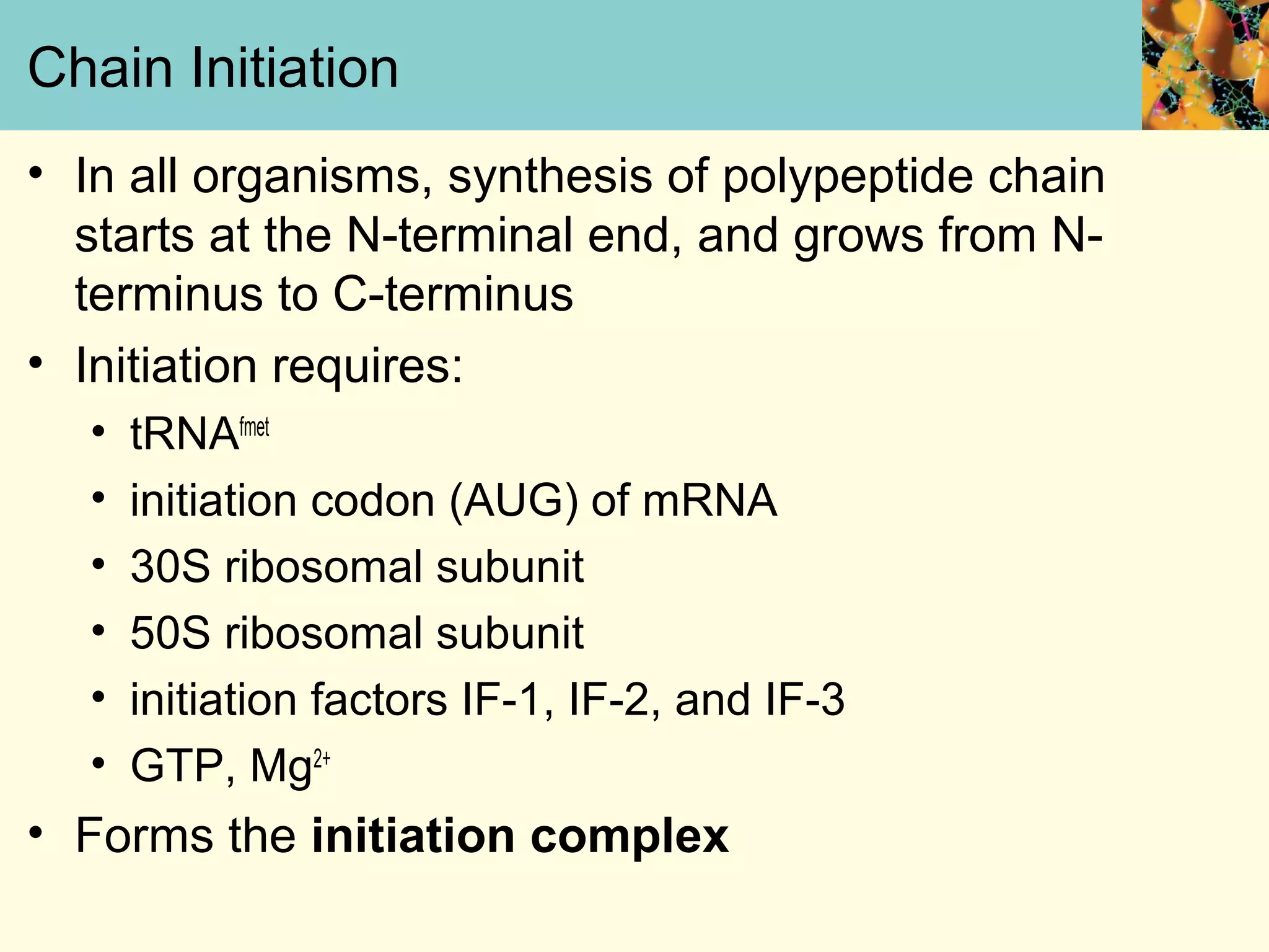Chain Initiation
• In all organisms, synthesis of polypeptide chain
starts at the N-terminal end, and grows from N-
terminus to C-terminus
• Initiation requires:
• tRNAfmet
• initiation codon (AUG) of mRNA
• 30S ribosomal subunit
• 50S ribosomal subunit
• initiation factors IF-1, IF-2, and IF-3
• GTP, Mg2+
• Forms the initiation complex
 
