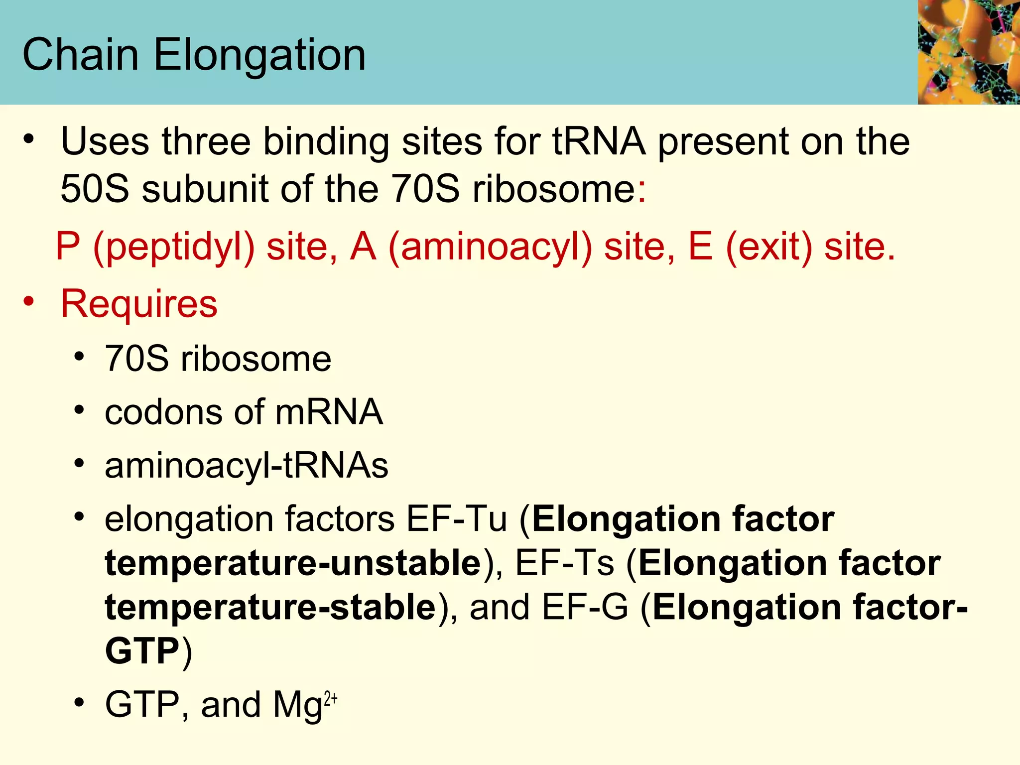 Chain Elongation
• Uses three binding sites for tRNA present on the
50S subunit of the 70S ribosome:
P (peptidyl) site, A (aminoacyl) site, E (exit) site.
• Requires
• 70S ribosome
• codons of mRNA
• aminoacyl-tRNAs
• elongation factors EF-Tu (Elongation factor
temperature-unstable), EF-Ts (Elongation factor
temperature-stable), and EF-G (Elongation factor-
GTP)
• GTP, and Mg2+
 