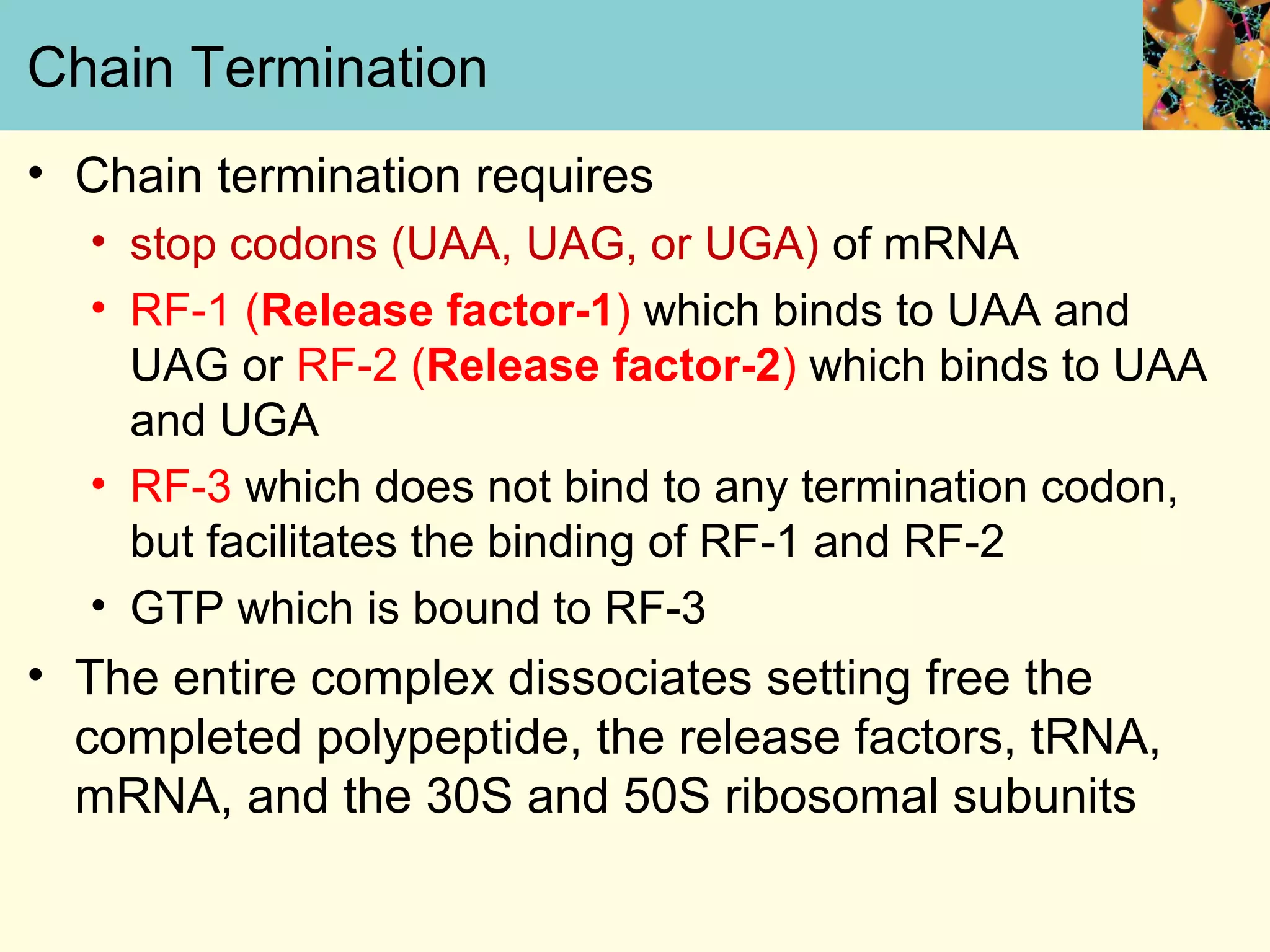 Chain Termination
• Chain termination requires
• stop codons (UAA, UAG, or UGA) of mRNA
• RF-1 (Release factor-1) which binds to UAA and
UAG or RF-2 (Release factor-2) which binds to UAA
and UGA
• RF-3 which does not bind to any termination codon,
but facilitates the binding of RF-1 and RF-2
• GTP which is bound to RF-3
• The entire complex dissociates setting free the
completed polypeptide, the release factors, tRNA,
mRNA, and the 30S and 50S ribosomal subunits
 