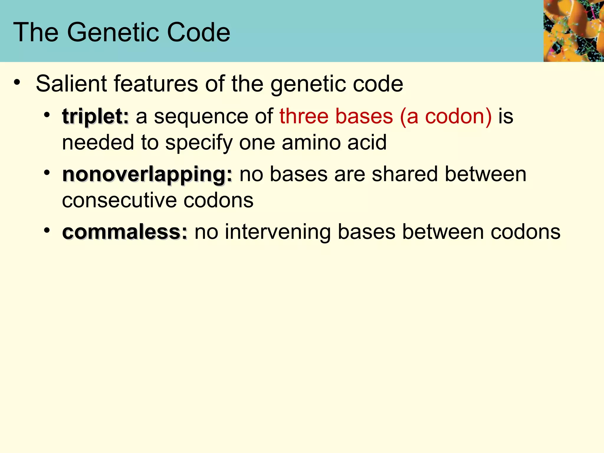 The Genetic Code
• Salient features of the genetic code
• triplet:triplet: a sequence of three bases (a codon) is
needed to specify one amino acid
• nonoverlapping:nonoverlapping: no bases are shared between
consecutive codons
• commaless:commaless: no intervening bases between codons
 