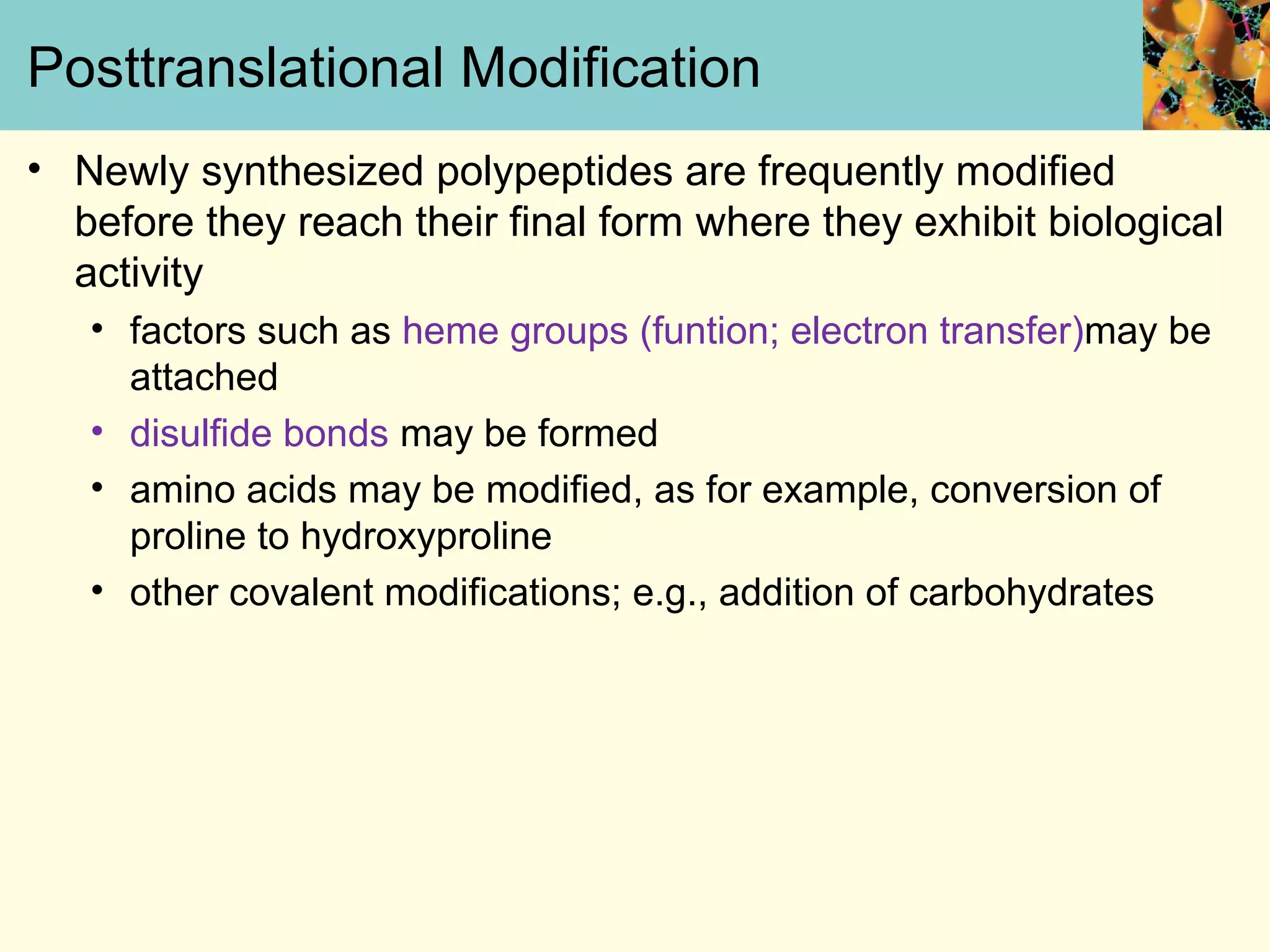 Posttranslational Modification
• Newly synthesized polypeptides are frequently modified
before they reach their final form where they exhibit biological
activity
• factors such as heme groups (funtion; electron transfer)may be
attached
• disulfide bonds may be formed
• amino acids may be modified, as for example, conversion of
proline to hydroxyproline
• other covalent modifications; e.g., addition of carbohydrates
 
