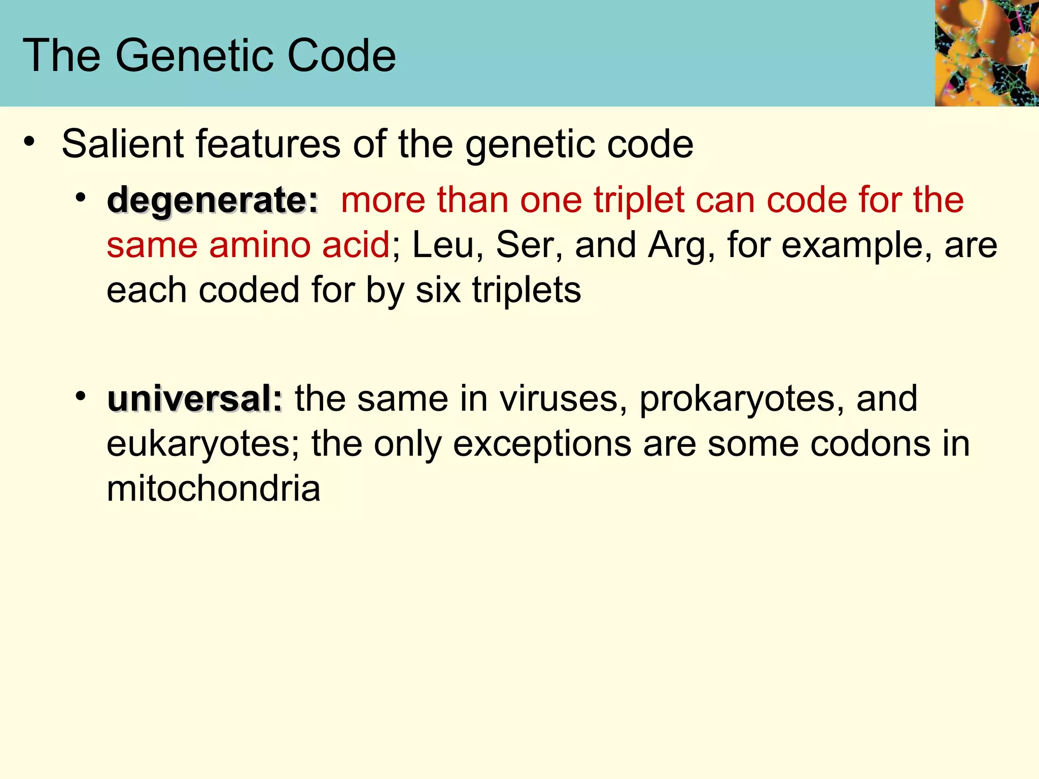 The Genetic Code
• Salient features of the genetic code
• degenerate:degenerate: more than one triplet can code for the
same amino acid; Leu, Ser, and Arg, for example, are
each coded for by six triplets
• universal:universal: the same in viruses, prokaryotes, and
eukaryotes; the only exceptions are some codons in
mitochondria
 