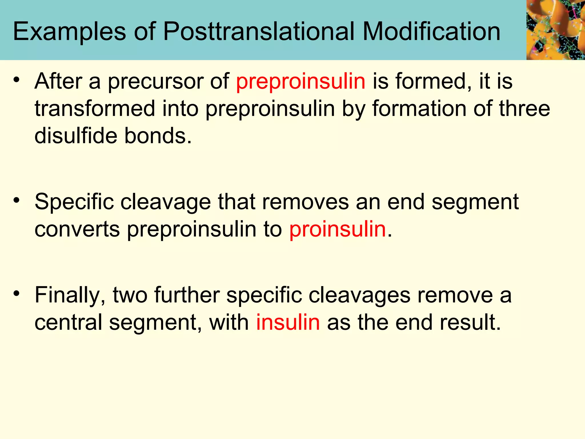 Examples of Posttranslational Modification
• After a precursor of preproinsulin is formed, it is
transformed into preproinsulin by formation of three
disulfide bonds.
• Specific cleavage that removes an end segment
converts preproinsulin to proinsulin.
• Finally, two further specific cleavages remove a
central segment, with insulin as the end result.
 