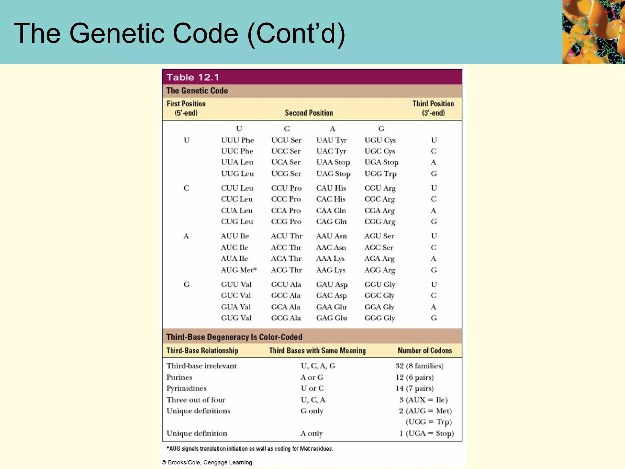 The Genetic Code (Cont’d)
 