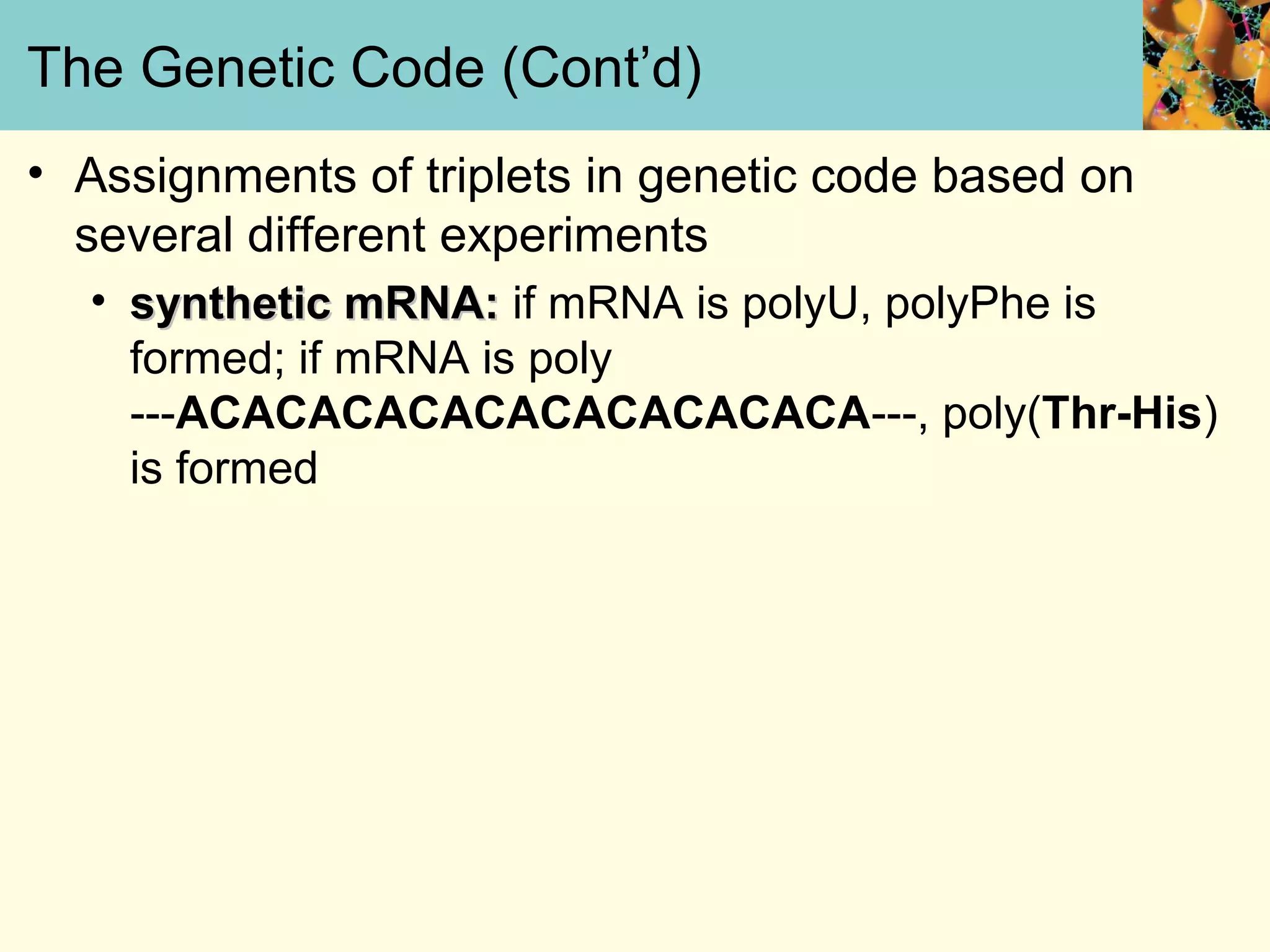 The Genetic Code (Cont’d)
• Assignments of triplets in genetic code based on
several different experiments
• synthetic mRNA:synthetic mRNA: if mRNA is polyU, polyPhe is
formed; if mRNA is poly
---ACACACACACACACACACACA---, poly(Thr-His)
is formed
 