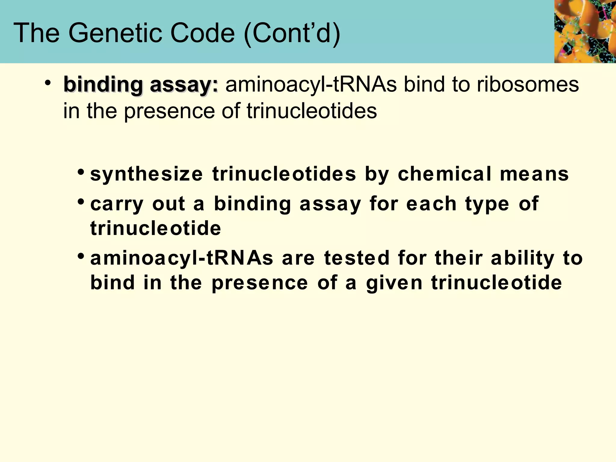 The Genetic Code (Cont’d)
• binding assay:binding assay: aminoacyl-tRNAs bind to ribosomes
in the presence of trinucleotides
•synthesize trinucleotides by chemical means
•carry out a binding assay for each type of
trinucleotide
•aminoacyl-tRNAs are tested for their ability to
bind in the presence of a given trinucleotide
 