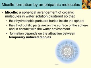 Micelle formation by amphipathic molecules Micelle:  a spherical arrangement of organic molecules in water solution clustered so that their hydrophobic parts are buried inside the sphere  their hydrophilic parts are on the surface of the sphere and in contact with the water environment formation depends on the attraction between  temporary induced dipoles 
