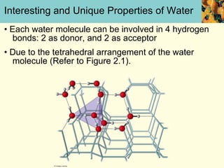 Interesting and Unique Properties of Water •  Each water molecule can be involved in 4 hydrogen bonds: 2 as donor, and 2 as acceptor •  Due to the tetrahedral arrangement of the water molecule (Refer to Figure 2.1). 