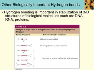 Other Biologically Important Hydrogen bonds •  Hydrogen bonding is important in stabilization of 3-D structures of biological molecules such as: DNA, RNA, proteins. 