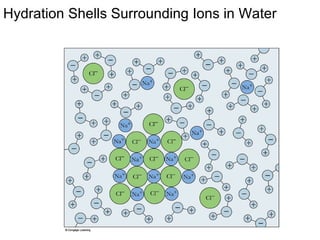Hydration Shells Surrounding Ions in Water 