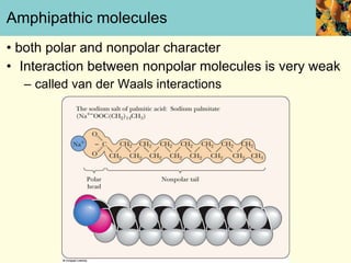 Amphipathic molecules •  both polar and nonpolar character Interaction between nonpolar molecules is very weak called van der Waals interactions 