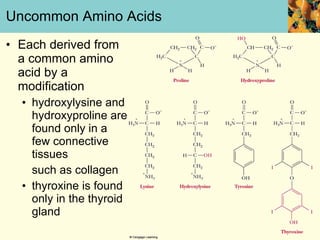 Campbell6e lecture ch3 | PPT