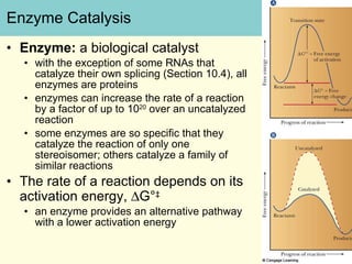 Campbell6e lecture ch6 | PPT