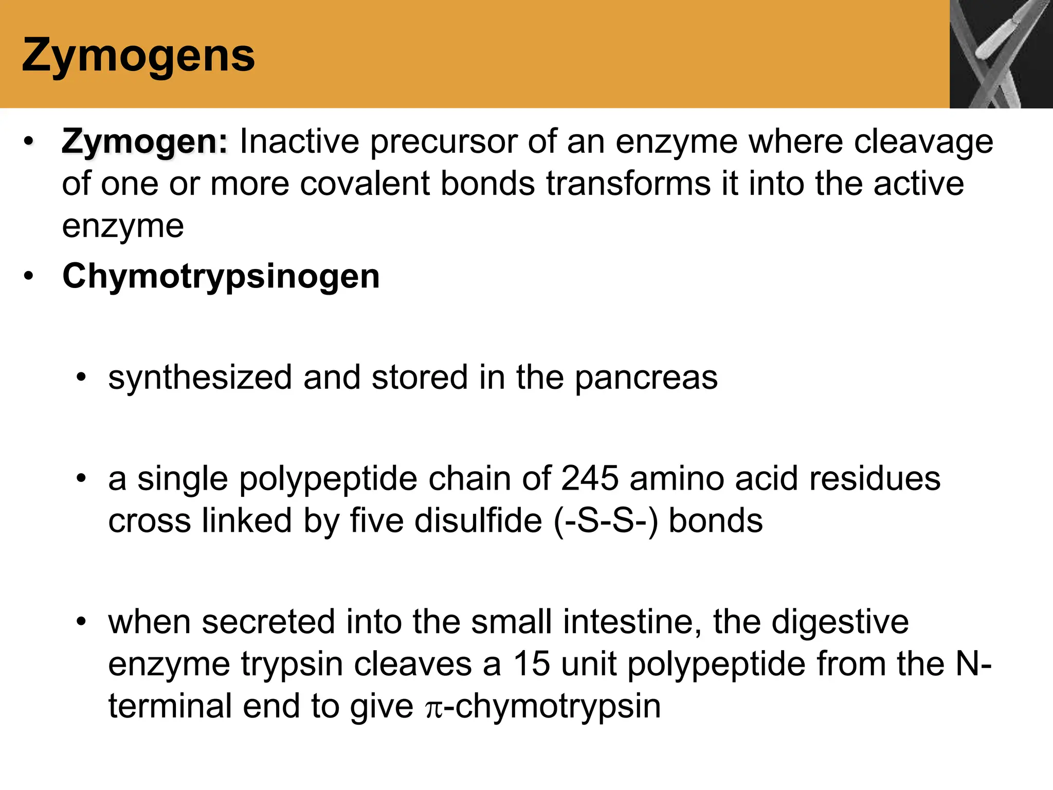 Zymogens
• Zymogen: Inactive precursor of an enzyme where cleavage
of one or more covalent bonds transforms it into the active
enzyme
• Chymotrypsinogen
• synthesized and stored in the pancreas
• a single polypeptide chain of 245 amino acid residues
cross linked by five disulfide (-S-S-) bonds
• when secreted into the small intestine, the digestive
enzyme trypsin cleaves a 15 unit polypeptide from the N-
terminal end to give -chymotrypsin
 
