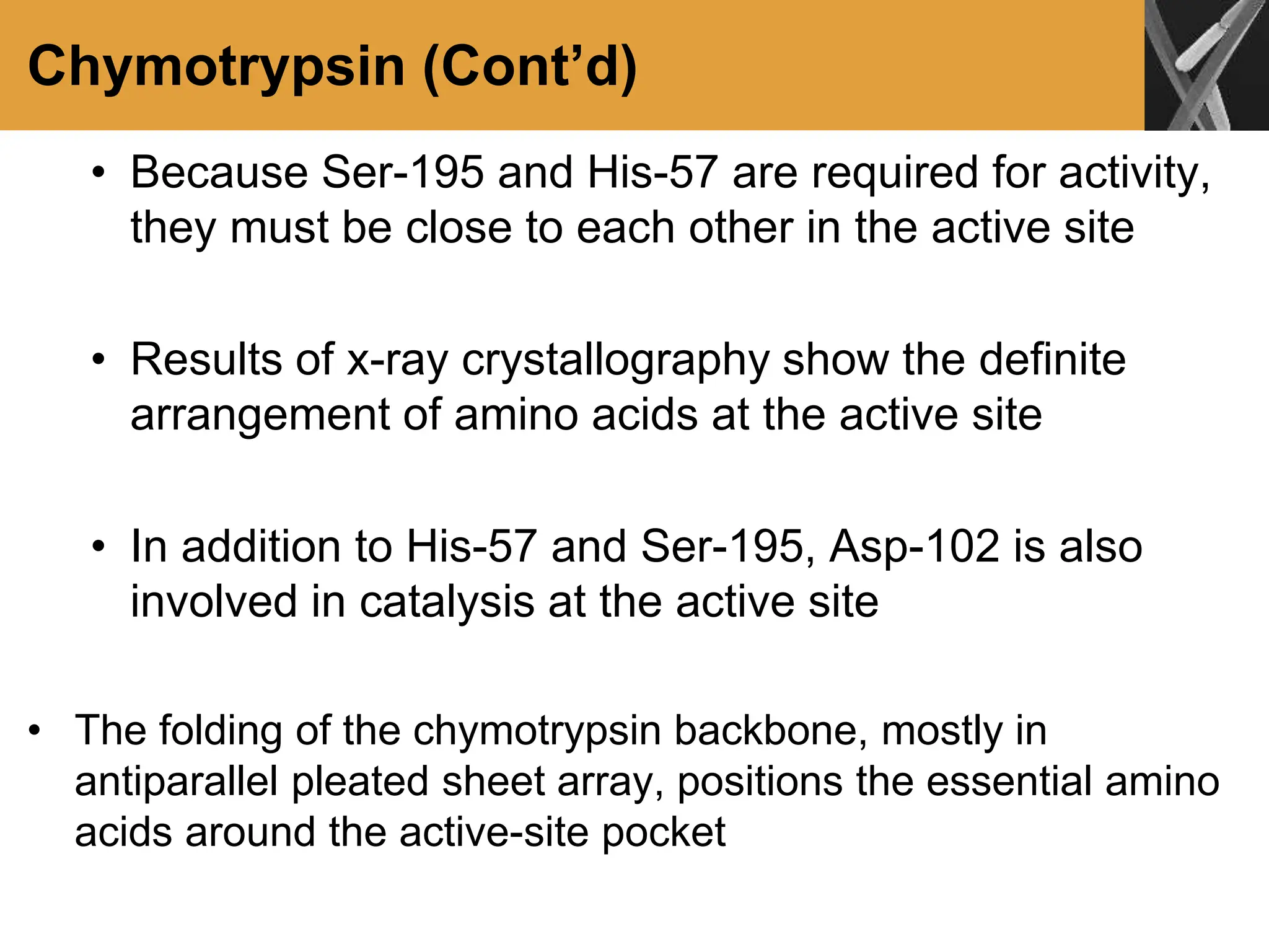 Chymotrypsin (Cont’d)
• Because Ser-195 and His-57 are required for activity,
they must be close to each other in the active site
• Results of x-ray crystallography show the definite
arrangement of amino acids at the active site
• In addition to His-57 and Ser-195, Asp-102 is also
involved in catalysis at the active site
• The folding of the chymotrypsin backbone, mostly in
antiparallel pleated sheet array, positions the essential amino
acids around the active-site pocket
 