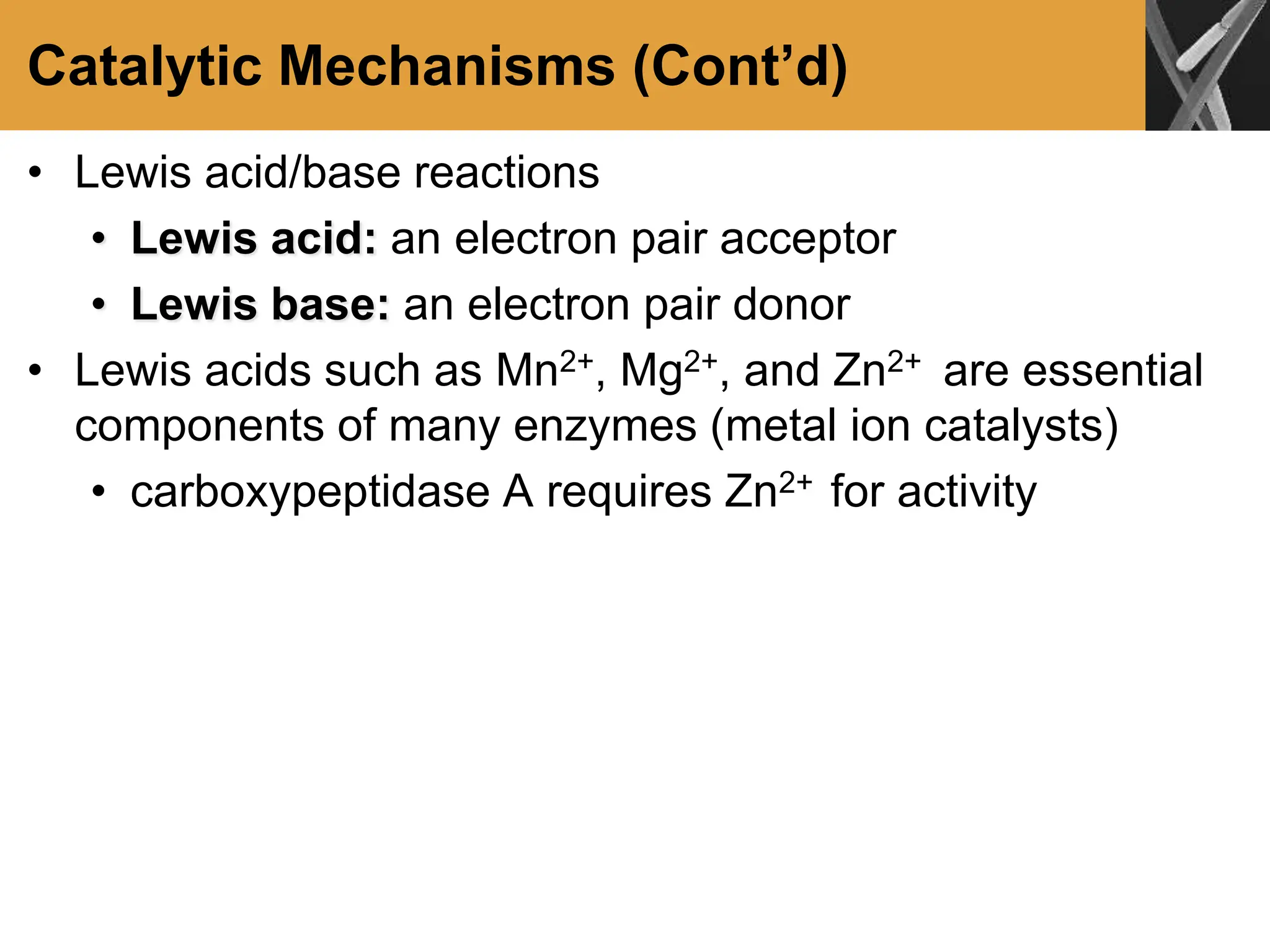 Catalytic Mechanisms (Cont’d)
• Lewis acid/base reactions
• Lewis acid: an electron pair acceptor
• Lewis base: an electron pair donor
• Lewis acids such as Mn2+, Mg2+, and Zn2+ are essential
components of many enzymes (metal ion catalysts)
• carboxypeptidase A requires Zn2+ for activity
 