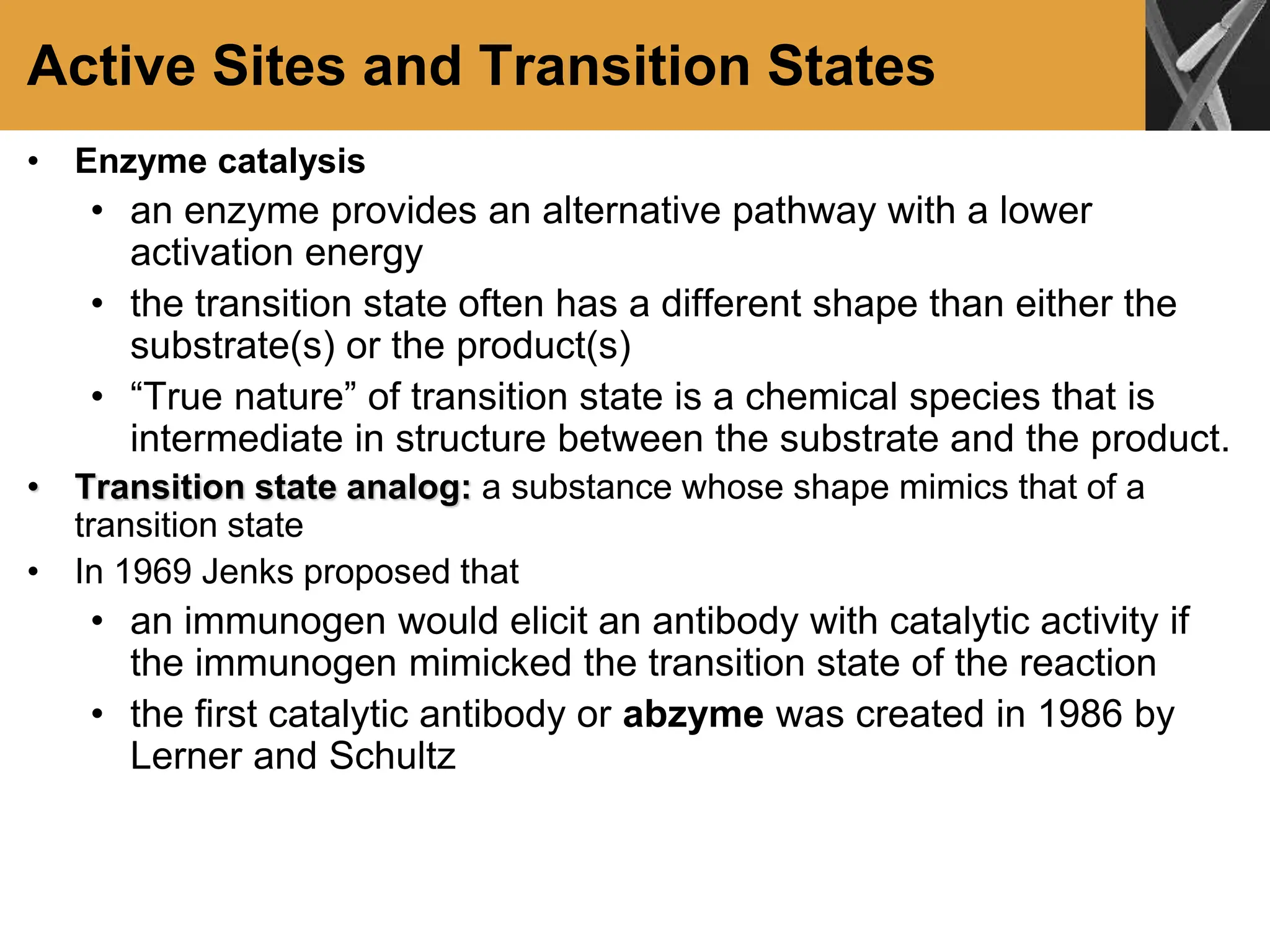 Active Sites and Transition States
• Enzyme catalysis
• an enzyme provides an alternative pathway with a lower
activation energy
• the transition state often has a different shape than either the
substrate(s) or the product(s)
• “True nature” of transition state is a chemical species that is
intermediate in structure between the substrate and the product.
• Transition state analog: a substance whose shape mimics that of a
transition state
• In 1969 Jenks proposed that
• an immunogen would elicit an antibody with catalytic activity if
the immunogen mimicked the transition state of the reaction
• the first catalytic antibody or abzyme was created in 1986 by
Lerner and Schultz
 