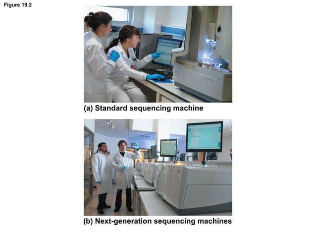 Life The Science Of Biology 10th Edition Pdf Free