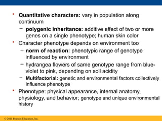 Additive Inheritance Campbell Biology Ch 14 - Mendel Inheritance.pptx
