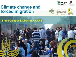 Climate change and
forced migration
Bruce Campbell, Director, CCAFS
 