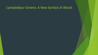 Campbellpur Greens: A New Symbol of Attock
 