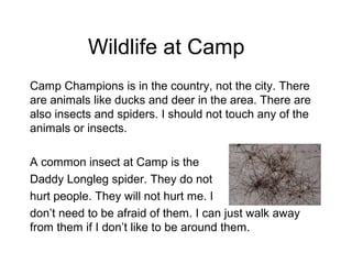 Wildlife at Camp
Camp Champions is in the country, not the city. There
are animals like ducks and deer in the area. There are
also insects and spiders. I should not touch any of the
animals or insects.

A common insect at Camp is the
Daddy Longleg spider. They do not
hurt people. They will not hurt me. I
don’t need to be afraid of them. I can just walk away
from them if I don’t like to be around them.
 