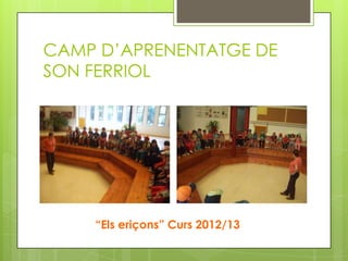 CAMP D’APRENENTATGE DE
SON FERRIOL
“Els eriçons” Curs 2012/13
 