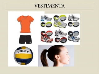 VESTIMENTA
 