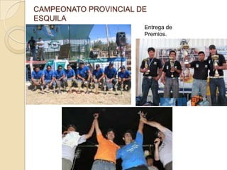 CAMPEONATO PROVINCIAL DE
ESQUILA
                       Entrega de
                       Premios.
 