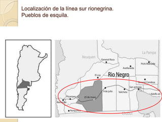 Localización de la línea sur rionegrina.
Pueblos de esquila.
 