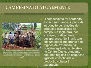 Campesinato e Agricultura Familiar | PPTX