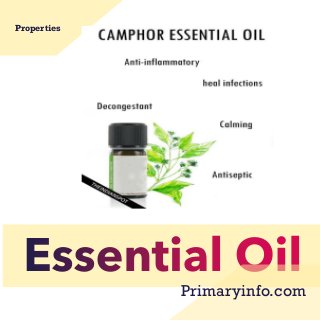 Properties
Primaryinfo.com
 