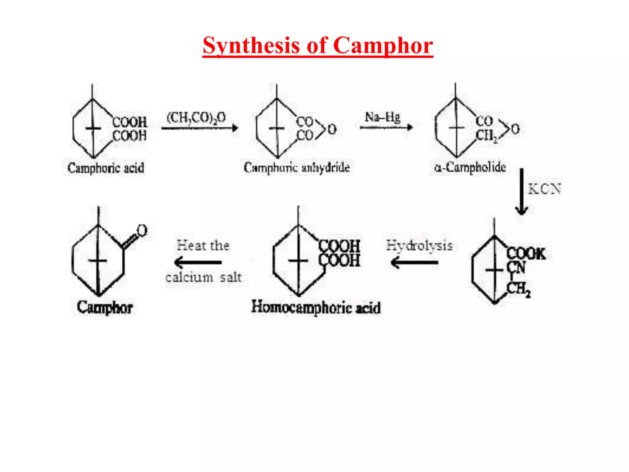Synthesis of Camphor
 