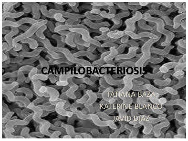 Campilobacteriosis
