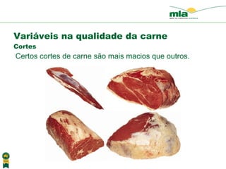 Certos cortes de carne s ão mais macios que outros . Variáveis na qualidade da carne Cortes 