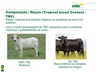 Raças Tropicais tem impacto negativo na qualidade da carne (no paladar). Usar a menor porcentagem de TBC necess á ria para o ambiente maximiza a palatabilidade da carne. Composição / Raças  (Tropical breed Content - TBC) 100% TBC   0% TBC   Raça britânica ou européia Hereford ou Angus Brahman 
