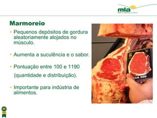 Pequenos dep ósitos de gordura  aleatoriamente alojados no m úsculo . Aumenta a sucul ência e o sabor .  Pontua ção entre  100 e 1190  (quantidade e distribui ção ). Importante para ind ú stria de alimentos. Marmoreio 