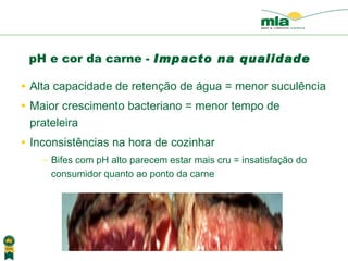 Alta capacidade de reten ção de água  = menor sucul ência Maior crescimento bacteriano = menor tempo de prateleira Inconsist ências na hora de cozinhar Bifes com pH alto parecem estar mais cru = insatisfa ção do  consumidor quanto ao ponto da carne pH e cor da carne -  Impacto na qualidade 
