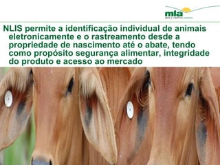 NLIS permite a identificação  individual de animais eletronicamente e o rastreamento desde a propriedade de nascimento até o abate, tendo como propósito seguran ça alimentar , integridade do produto e acesso ao mercado 