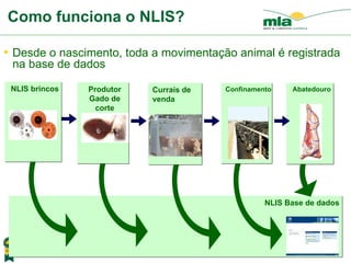 NLIS Base de dados  Produtor Gado de corte Currais de venda   Confinamento Abatedouro NLIS brincos Como funciona o NLIS? Desde o nascimento, toda a movimentação animal é registrada na base de dados 
