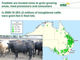 Feedlots are located close to grain growing areas, meat processors and consumers  In 2009-10 26% (2 million) of slaughtered cattle were grain-fed in feed lots   
