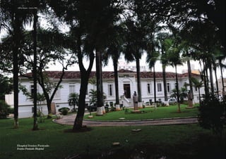 Campinas 240 anos