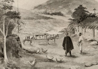 Campinas 240 anos