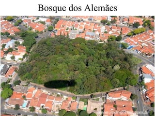 Bosque dos Alemães 