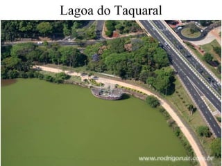 Lagoa do Taquaral 