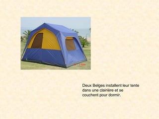 Deux Belges installent leur tente dans une clairière et se couchent pour dormir.  