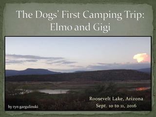 Roosevelt Lake, Arizona
Sept. 10 to 11, 2016by ryn gargulinski
 